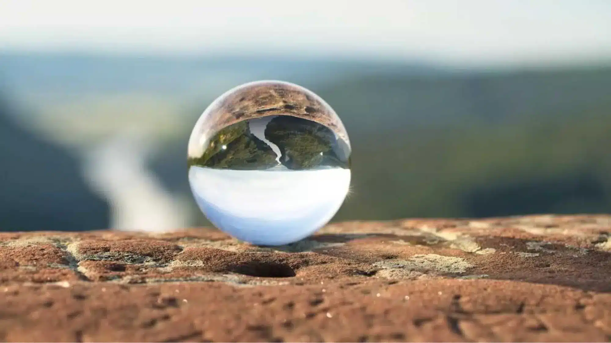 Future-Proof-Professionals Half-day leadership workshop and free Acuity Live online events